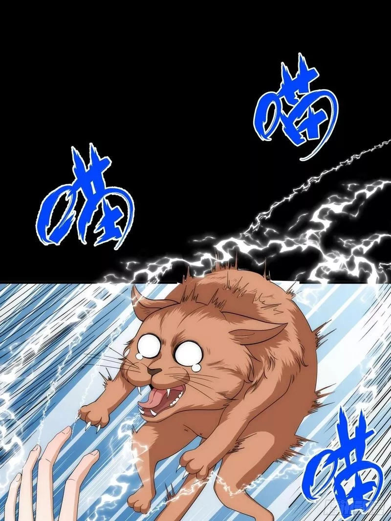 我真的好怕啊！,042 审判猫咪,第3张